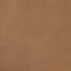 Meet your Posher, Ella